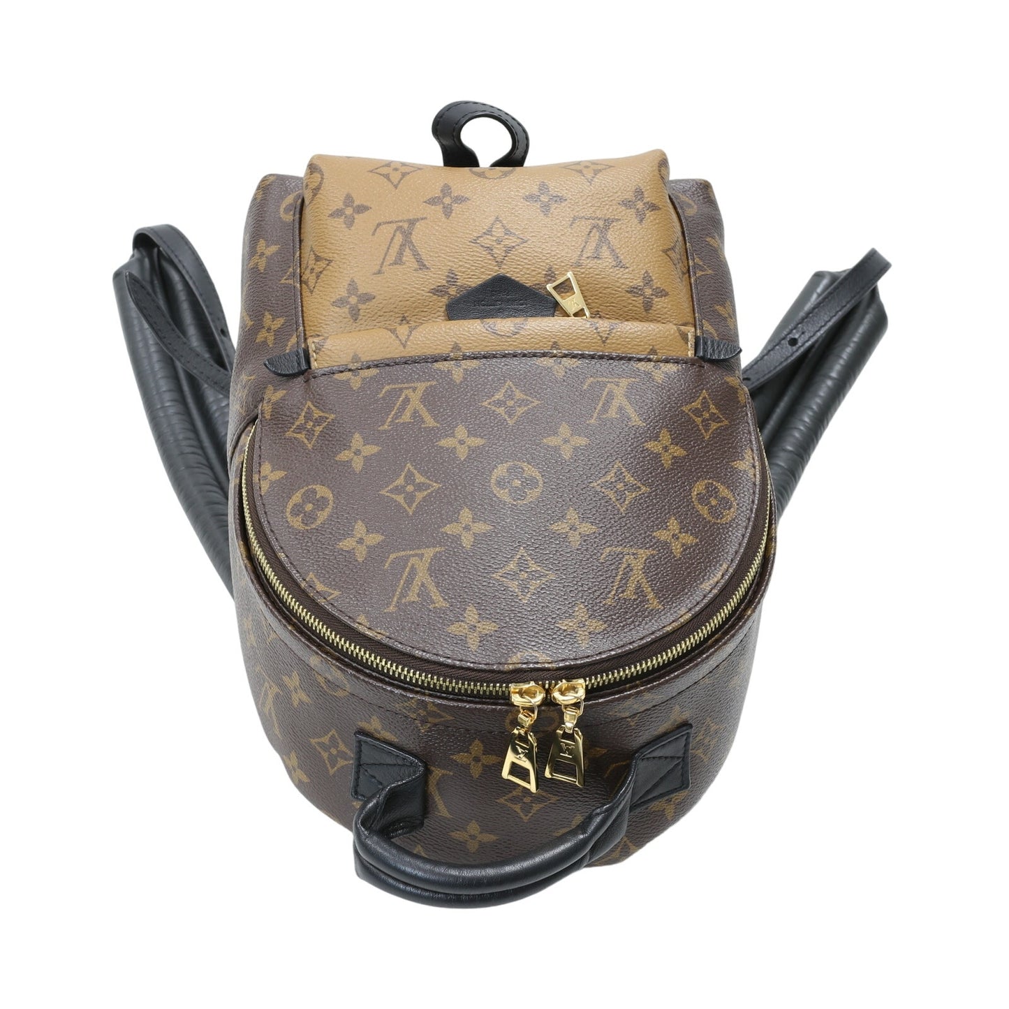 LOUIS VUITTON Palm Springs Reverse PM Mini Rare Backpack LV-B0619-B001