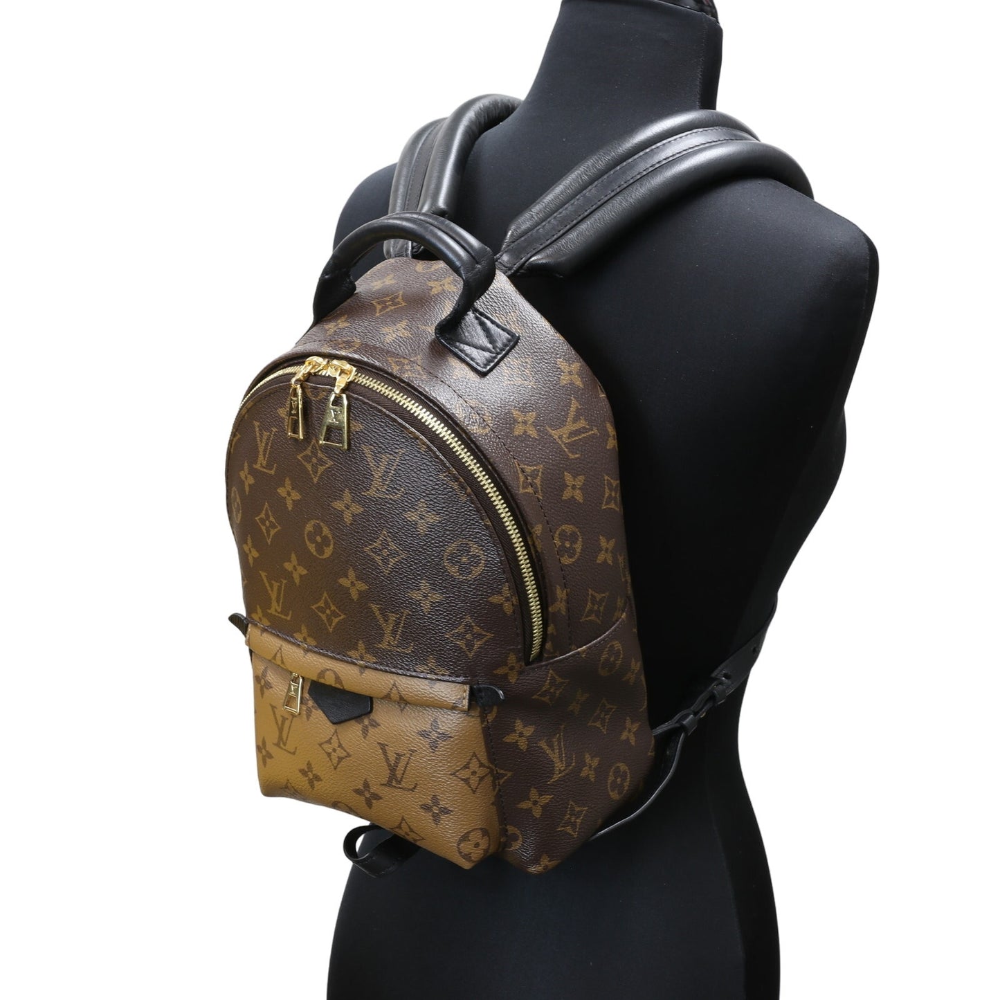 LOUIS VUITTON Palm Springs Reverse PM Mini Rare Backpack LV-B0619-B001