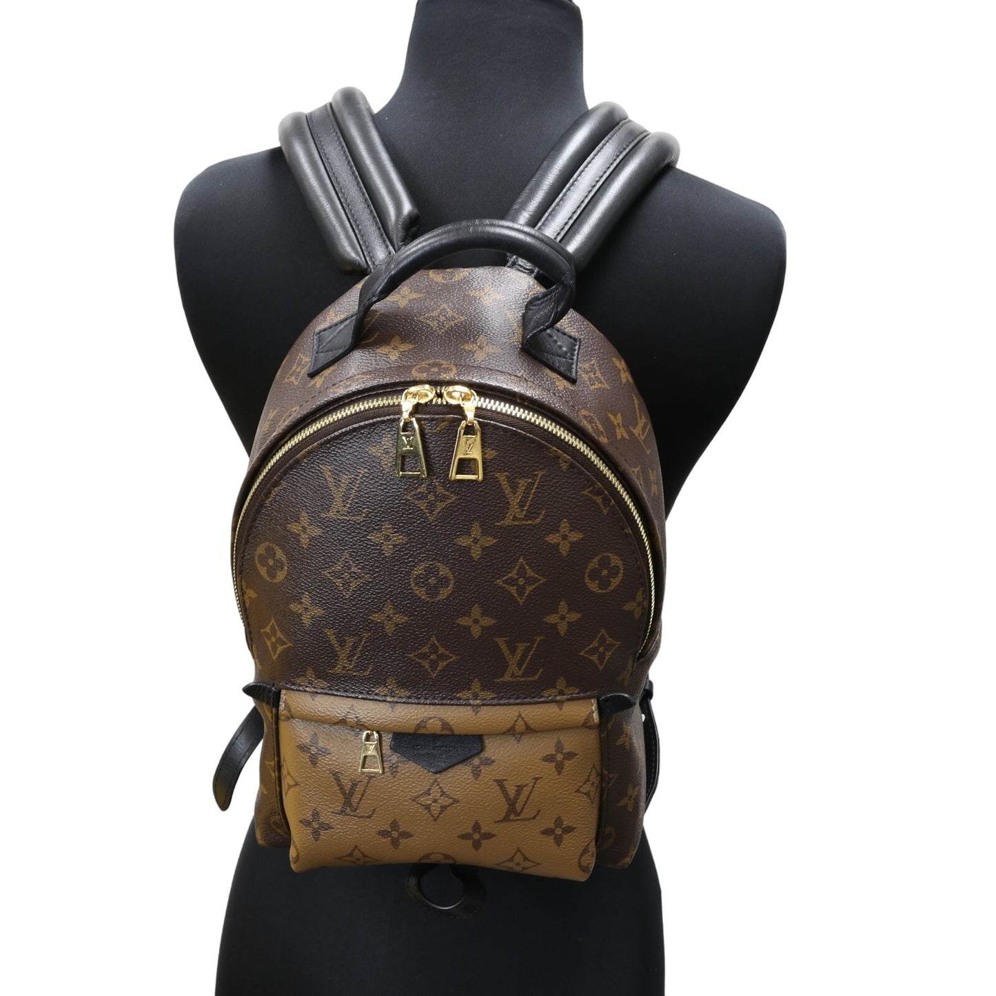 LOUIS VUITTON Palm Springs Reverse PM Mini Rare Backpack LV-B0619-B001